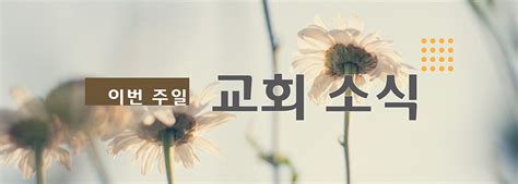교회 소식 .